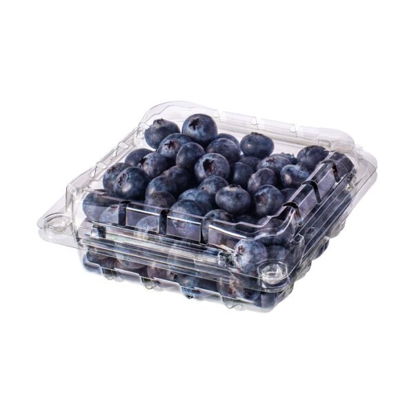 Việt quất (Blueberry)-Hộp 125g