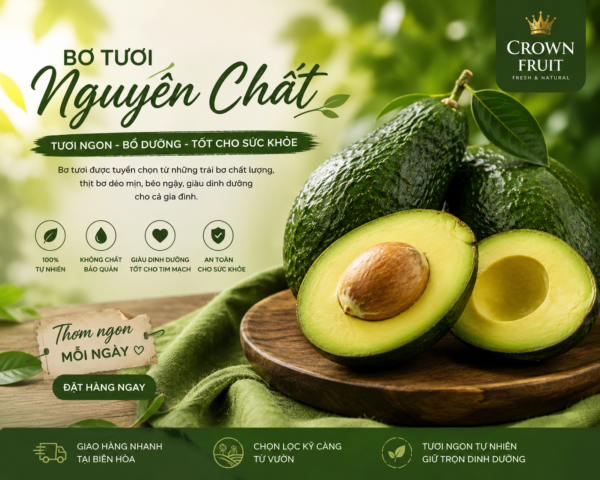 Bơ Tươi Crown Fruit – Bơ Sáp Tươi Ngon, Dẻo Béo Tự Nhiên-1kg