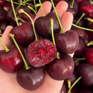 Cherry Mỹ-500g