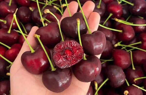 Cherry Mỹ-500g