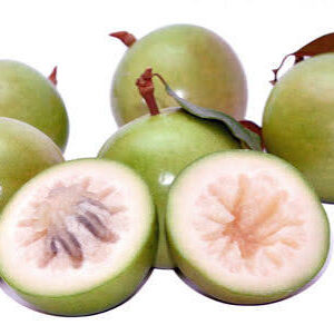 Vú Sữa Lò Rèn – Đặc Sản Miền Tây-1kg