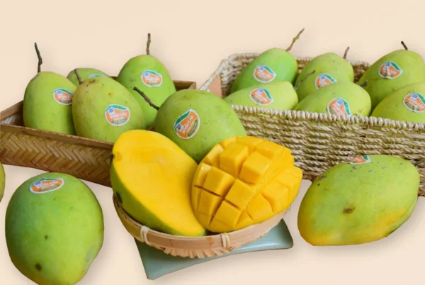 Xoài Cát Hòa Lộc -1kg